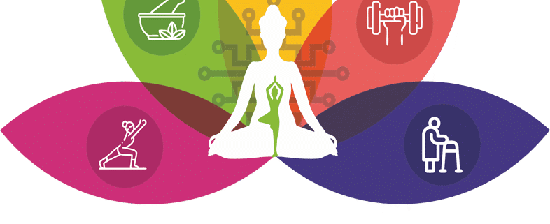 Wellfest India Noida